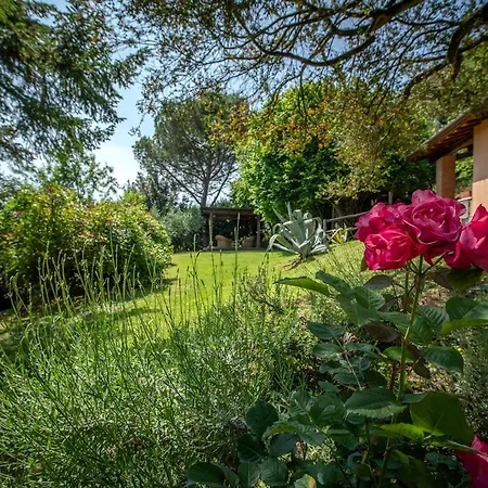 La Casa Sui Colli Dom wakacyjny *
