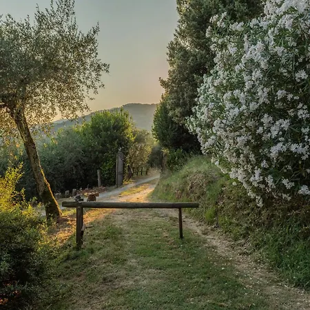 La Casa Sui Colli